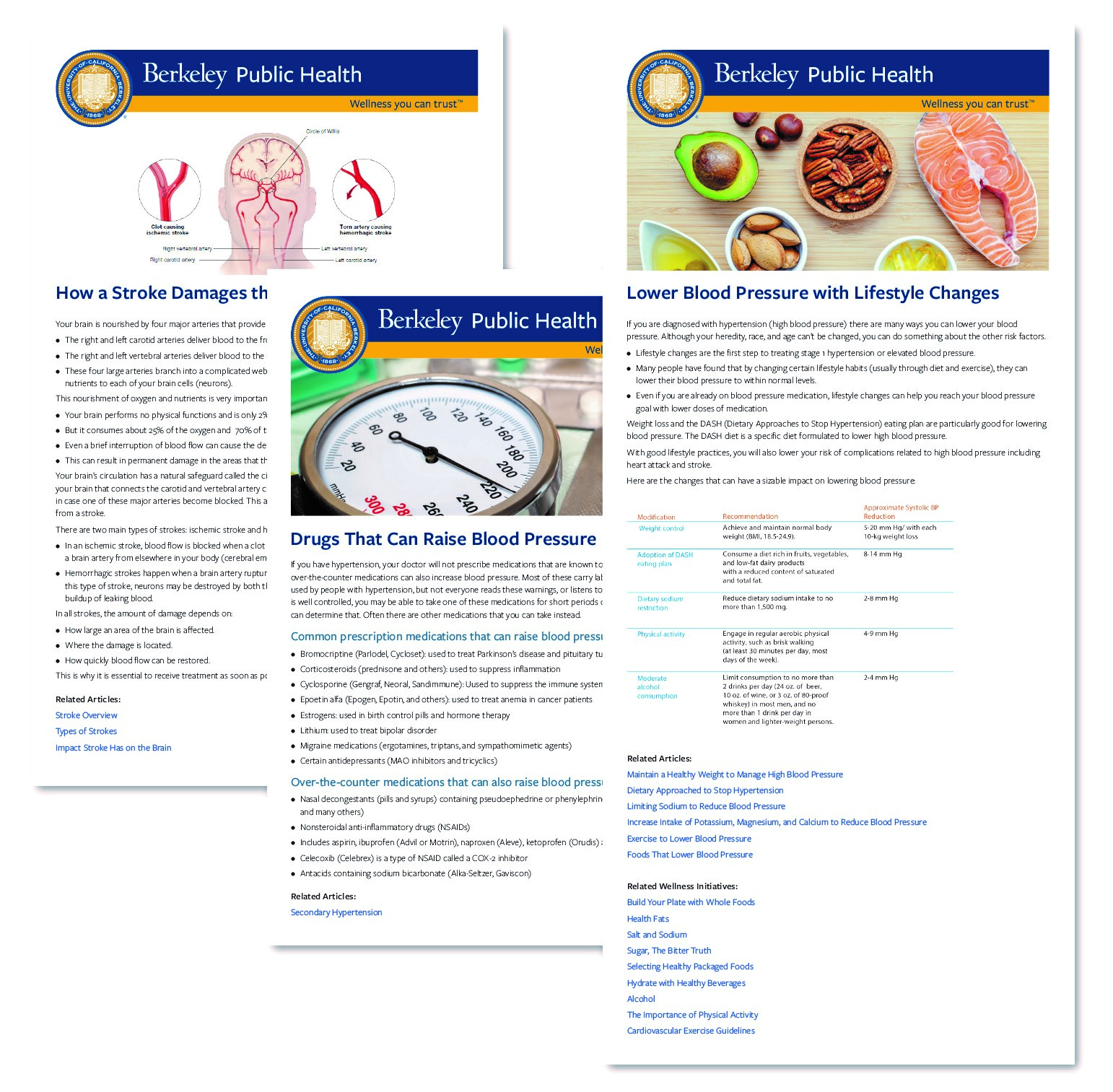 Health_&Wellness_Library_Graphic