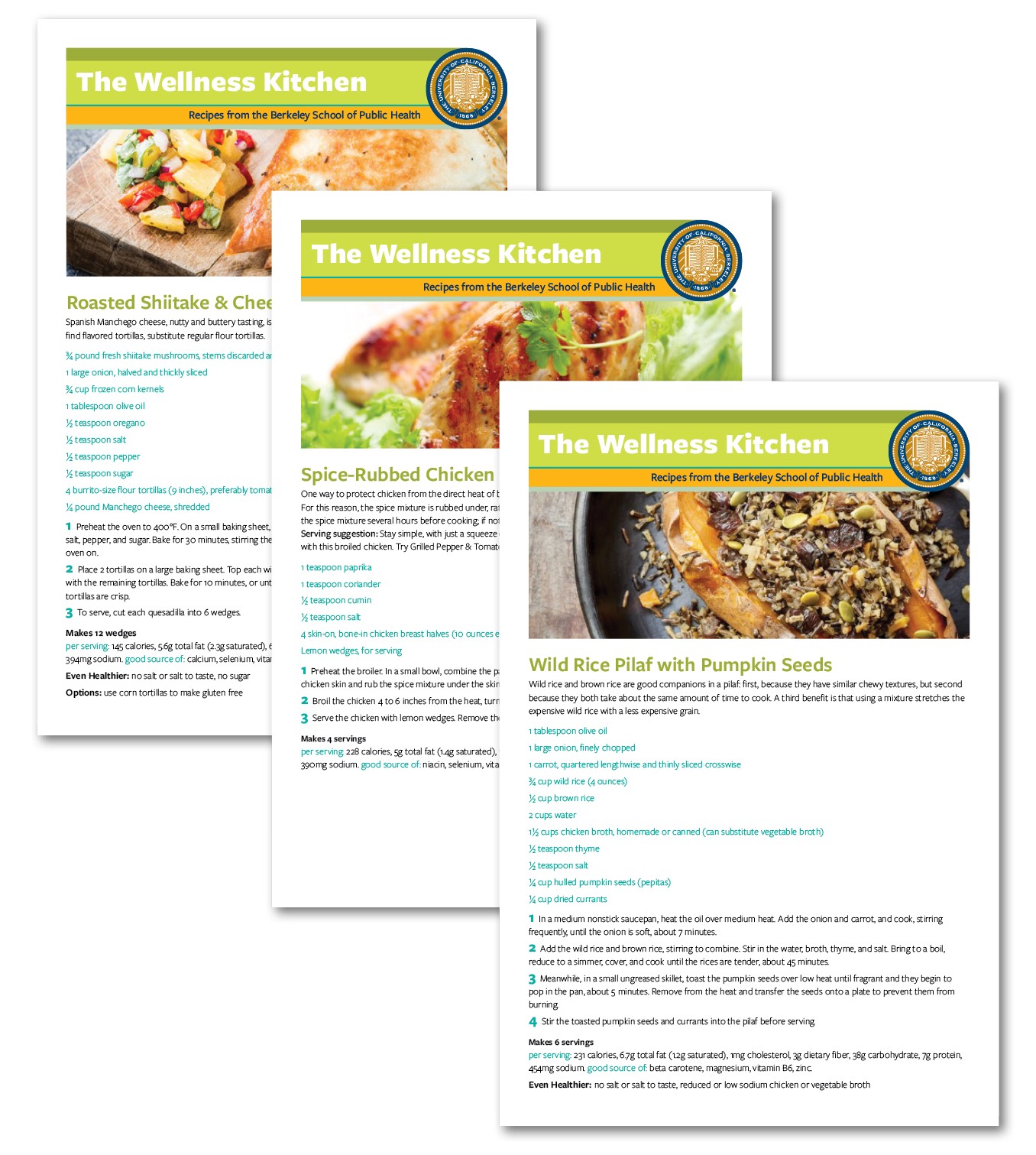 Healthy_Recipe_Collection_Graphic